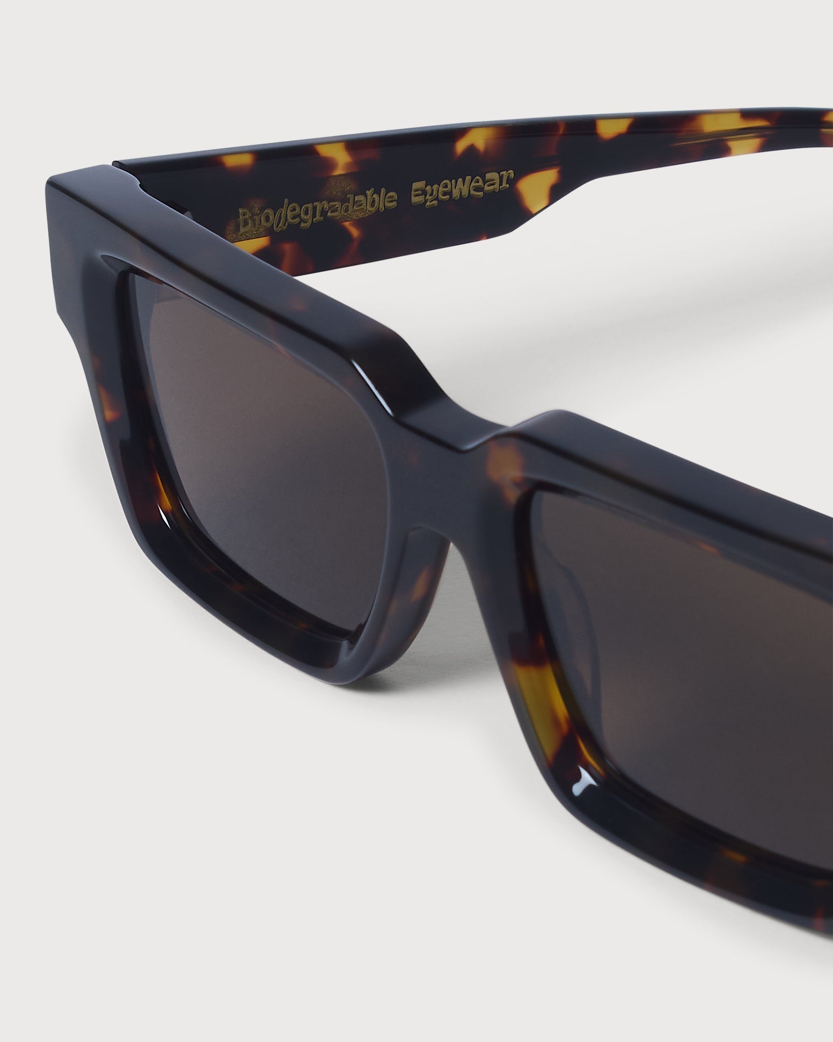 Terra Sunglasses - Tortoise - Patina